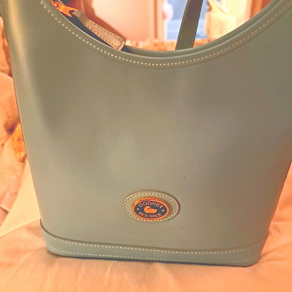 DOONEY AND BOURKE TEAL BLUE LEATHER PURSE